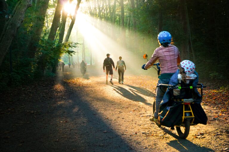 Parents cycling through a green forest trail in the Netherlands during the summer.